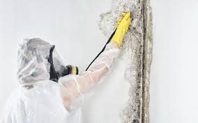 Best Mold Prevention Services  in Smithfield, NC